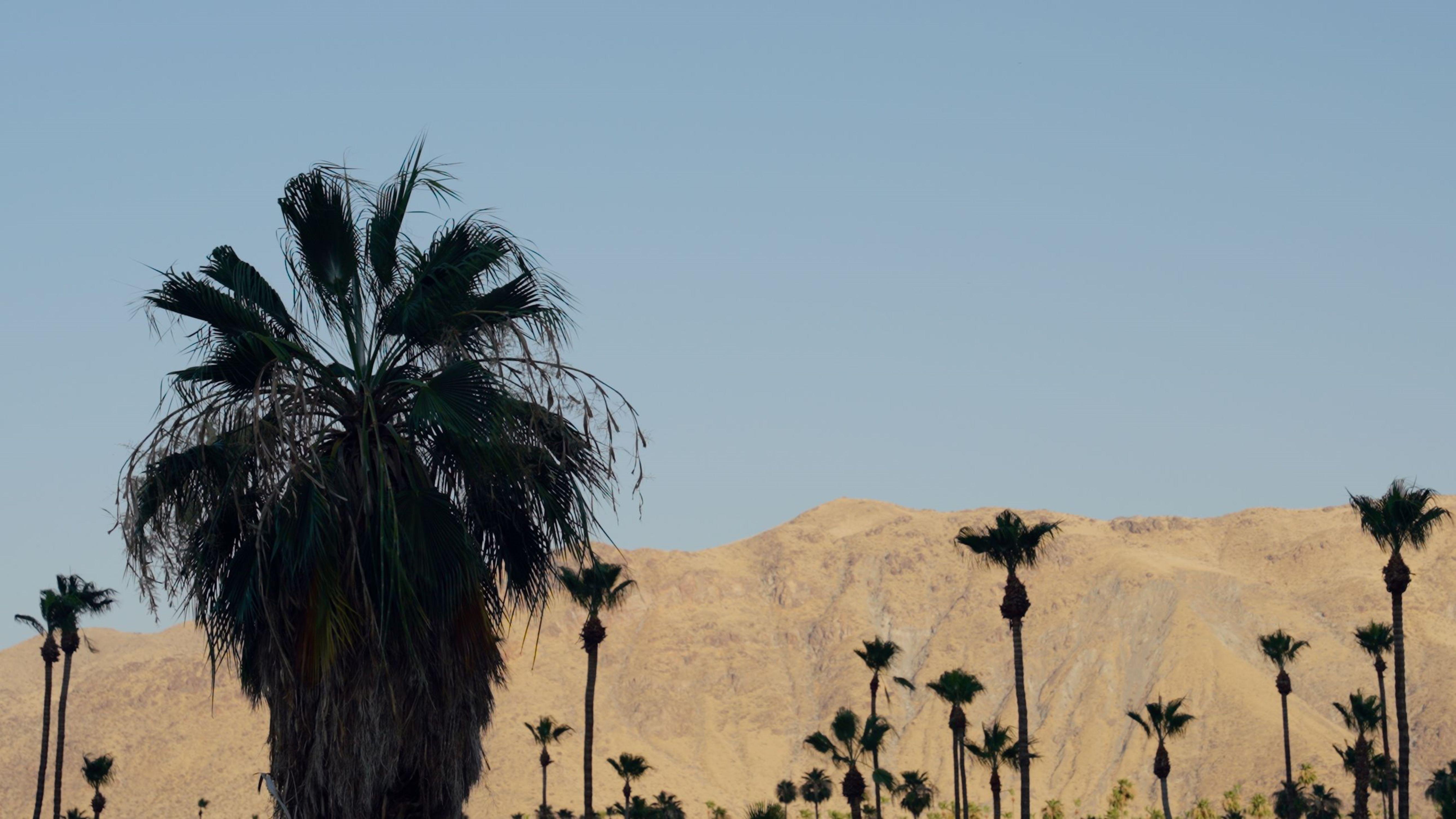 Royal Sun Palm Springs Hotel Екстериор снимка
