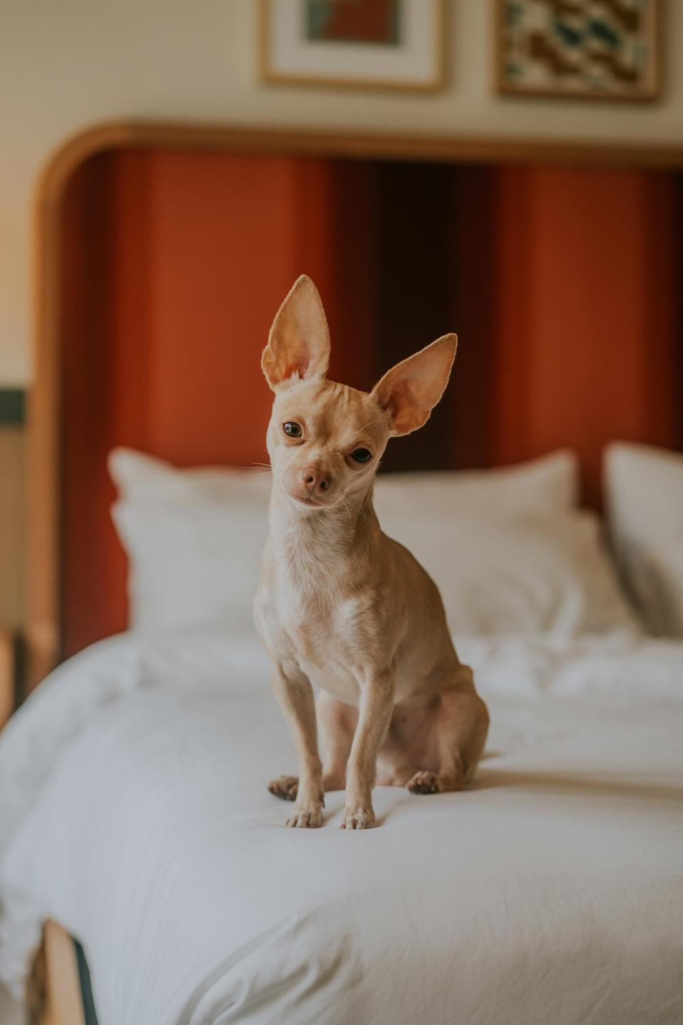 Royal Sun Palm Springs Hotel Екстериор снимка